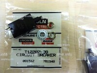 Предохранитель T12287-39 - st-e.info - Пятигорск